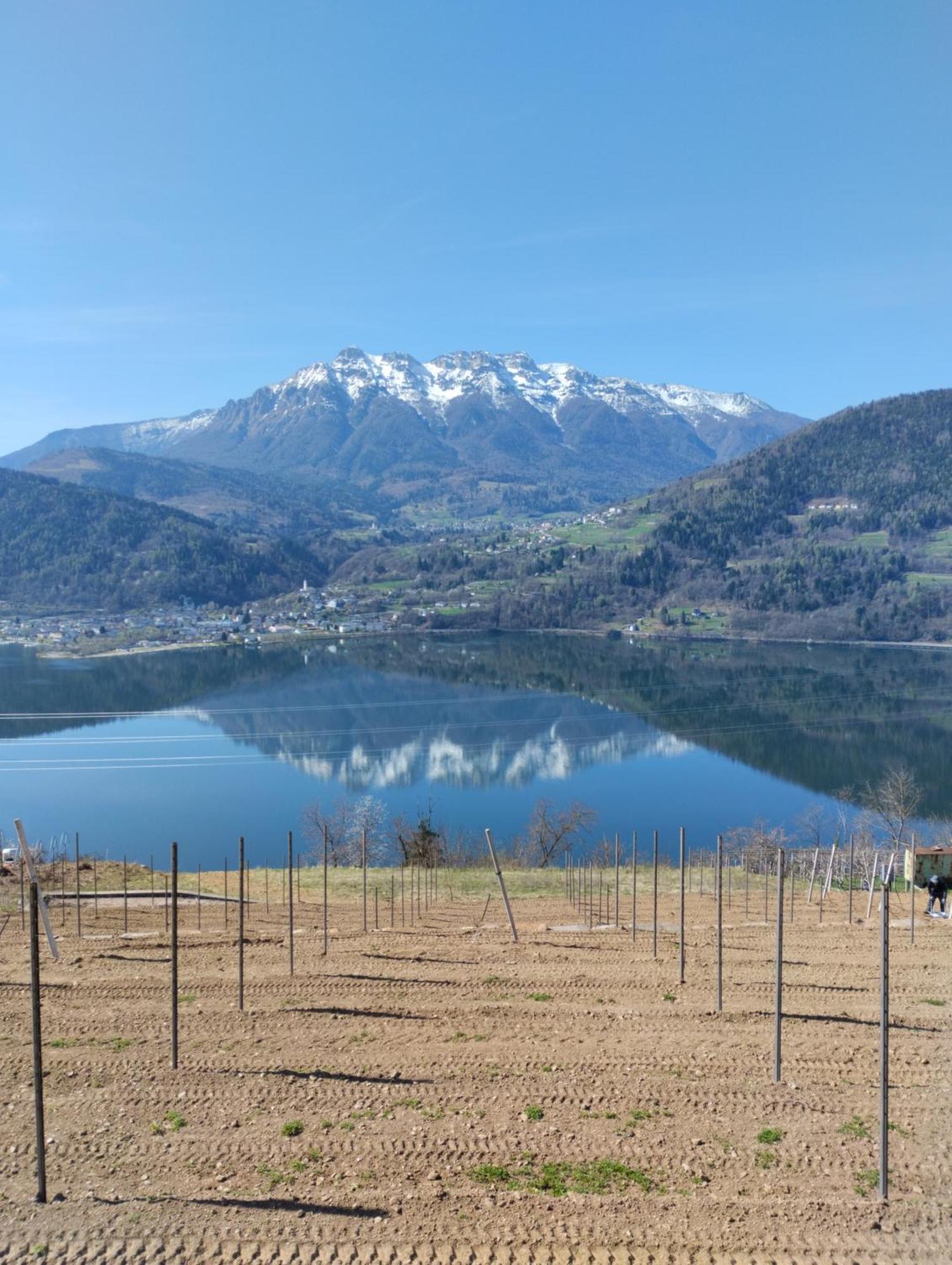 Bauernhof Agritur Sedici - *
